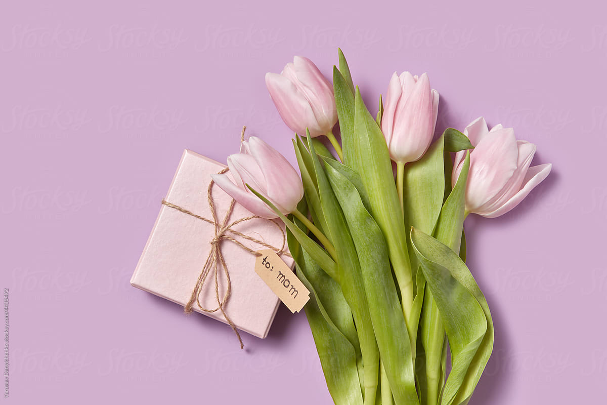 Mother's Day Collection