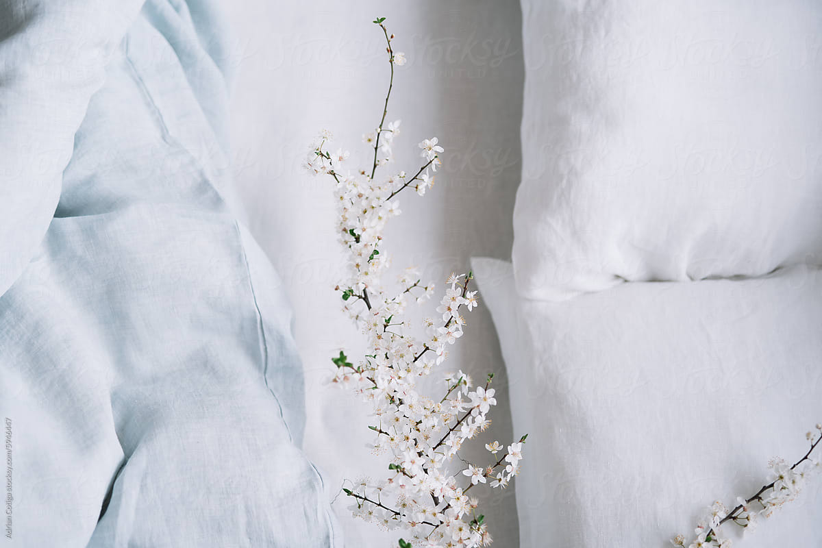 Fresh/Clean - Casa Candle