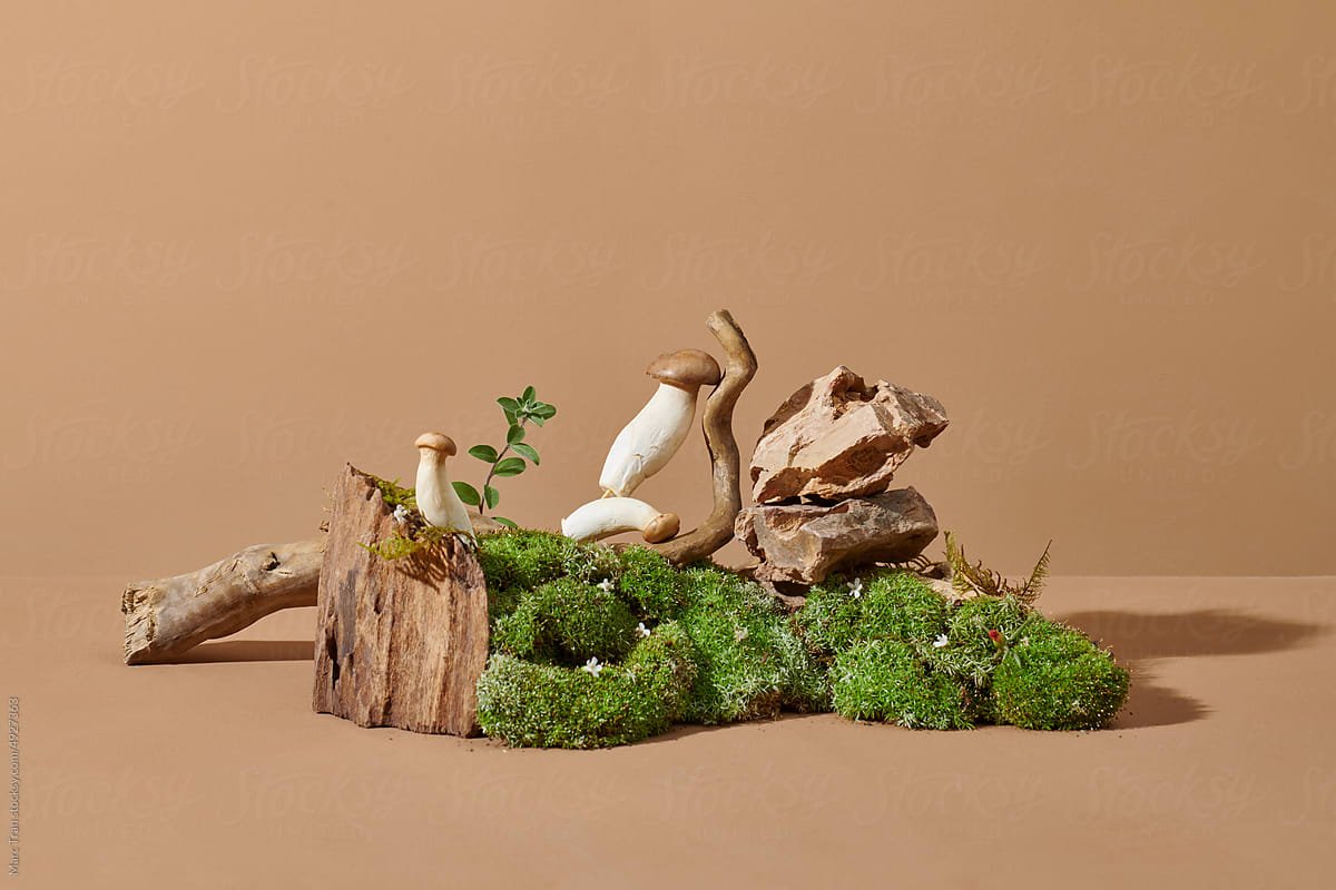 Woodsy/Earthy - Casa Candle