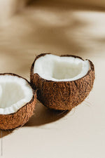 Santal Coconut, Candle Jar - Casa Candle